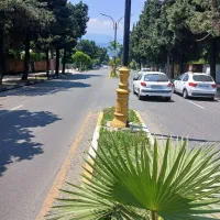 فروش-زمین-250متر-بلوارطالقانی-بیست-متری