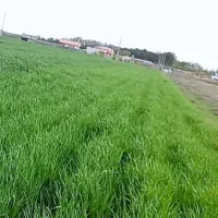 زمین-درموقعیت-خوب
