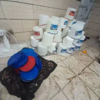 سطل ۱۰ کیلوی  نو نو