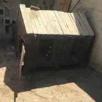 قفس طوطی