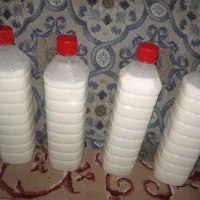 دوغ کفیر