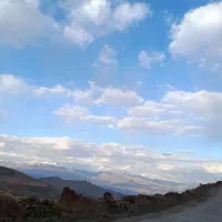 یک-هکتارباغ-کامان-جاده-الموت-بادریای-ابر-زیرقیمت