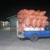 خرید وفروش کاه