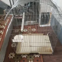 قفس پرنده