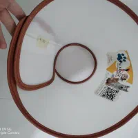 گردنی الیزابت