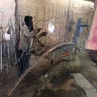 جوشکار  حفاظ