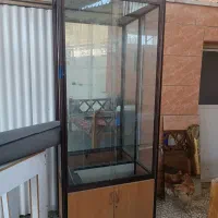ویترین
