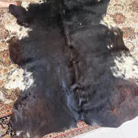 پوست طبیعی گاو