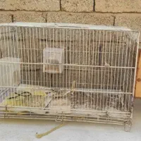 دوتا قفس