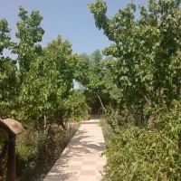 باغ-شیک-جار-کبوترآباد-مهدی-آباد-منشیان