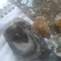سنگ شجر|جواهرات|فردوس (خراسان), |دیوار
