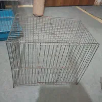 قفس پرنده
