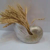 گلدان طرح حلزون