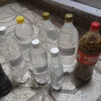 گلاب تضمینی کاشمر و رب انار  امسالی