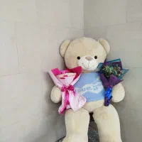 عروسک  خرس شاسخین