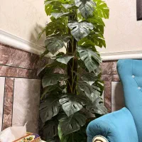 فروش درختچه مصنوعی