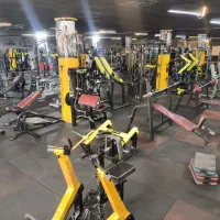 باشگاه بدنسازی آلفا ویژه آقایان
