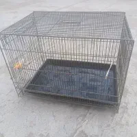 قفس پرنده سهره قناری مرغ عشق