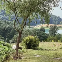 زمین مسکونی شهرک باهنر