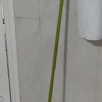 جارو نپتون
