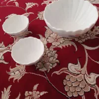ظرف پذیرایی آرکوپال