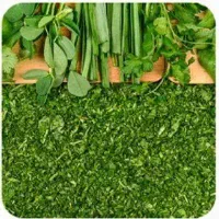 نیرو جهت کار