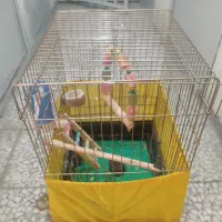 قفس پرنده