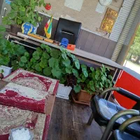 مغازه 35 متری در شفق