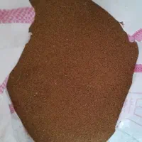 تخم یونجه قیمت ۱۱۰۰