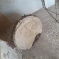 طبل پوستی