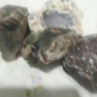 سنگ‌عقیق‌و‌کلکسیون|کلکسیون و سرگرمی|شاندیز, |دیوار