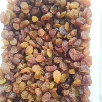 کشمش درجه یک