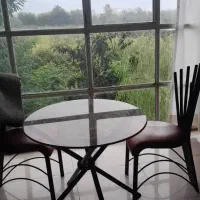 سویت جنگلی نزدیک ساحل روزانه
