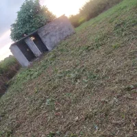 علفزنی و علف زنی و علفزن و...