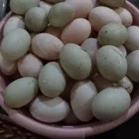 تخم اردک