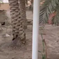 منزل ویلایی کوچه جنب کنزالمال کوی اریا