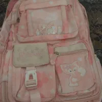 کوله یخچالی درحد