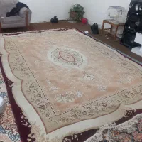 قالی ۵۰۰ شانه ۹متری