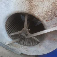 حلزونی کولر ابی بزرگ
