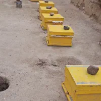 کندو زنبور عسل
