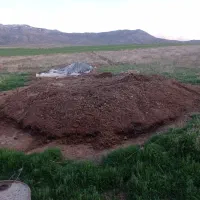 کود حیوانی
