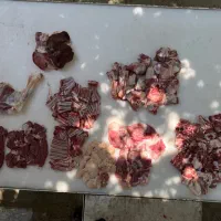 دامداری  بزرگ تهران