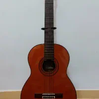 گیتار آریا AK 80