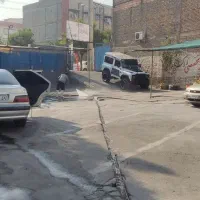 نیروی کار کارواش