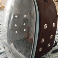 کیف حمل حیوانات خانگی