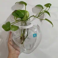 گلدان دیواری شیشه ای