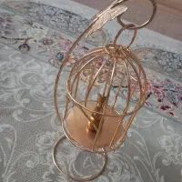 قفس طلایی