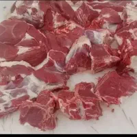 گوشت بره نرینه باکیفیت انتخاب سلامتی(خریدکالابرگ)