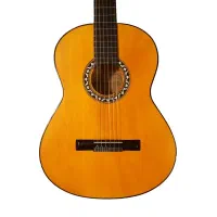 گیتار دیاموند