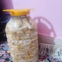 ترشی کنگر